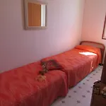 Apartment Tranquil Family Getaway-beahost *